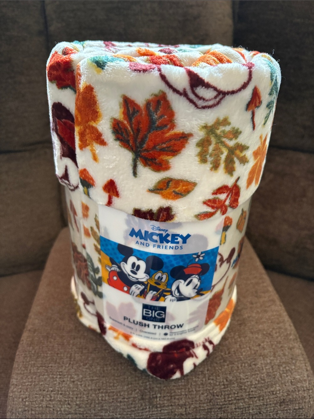 Disney Mickey and Friends Autumn Leaf Plush Throw - White, Orange, Brown, Green